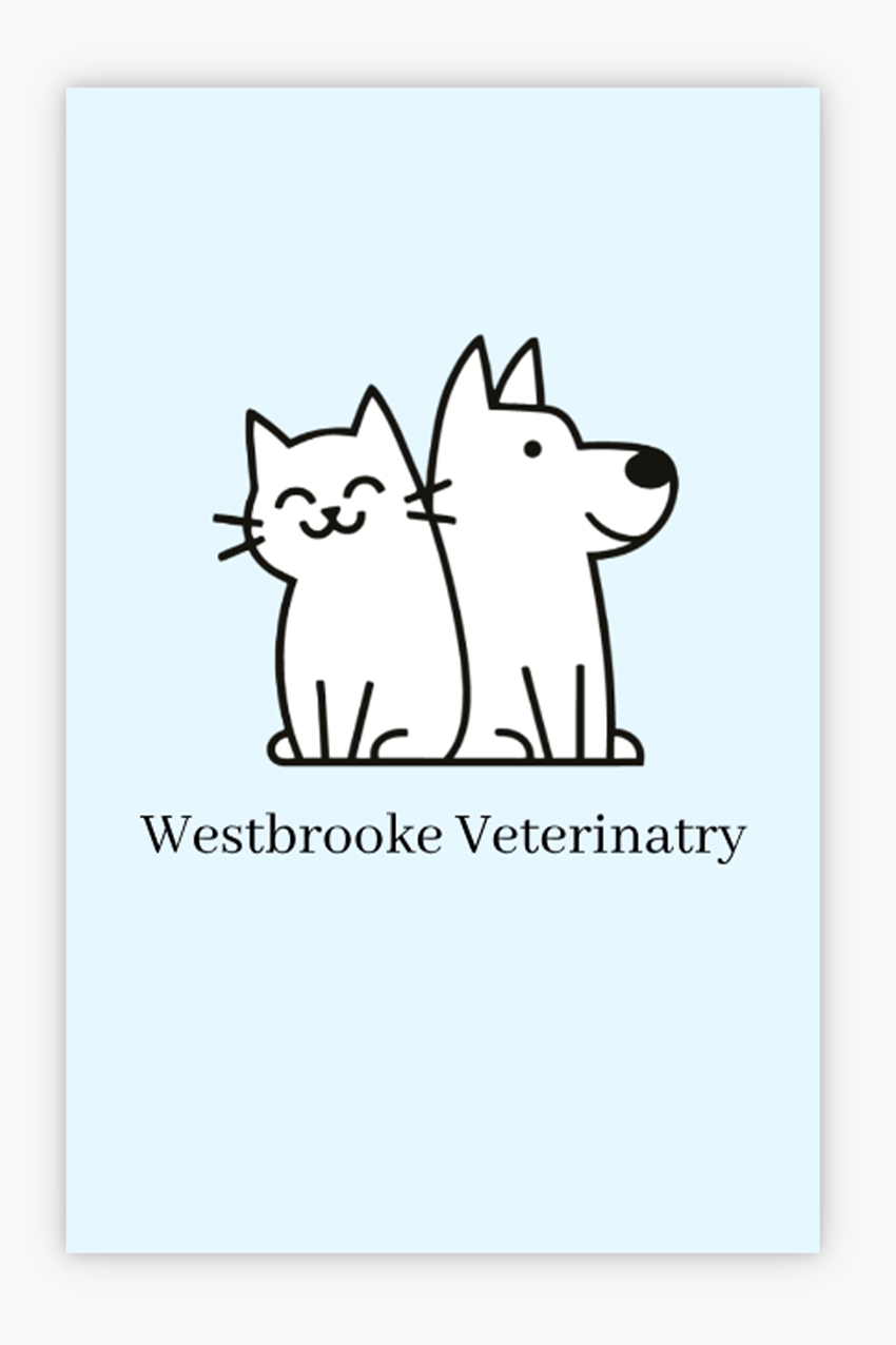 Vizitky - Šablona ID 39