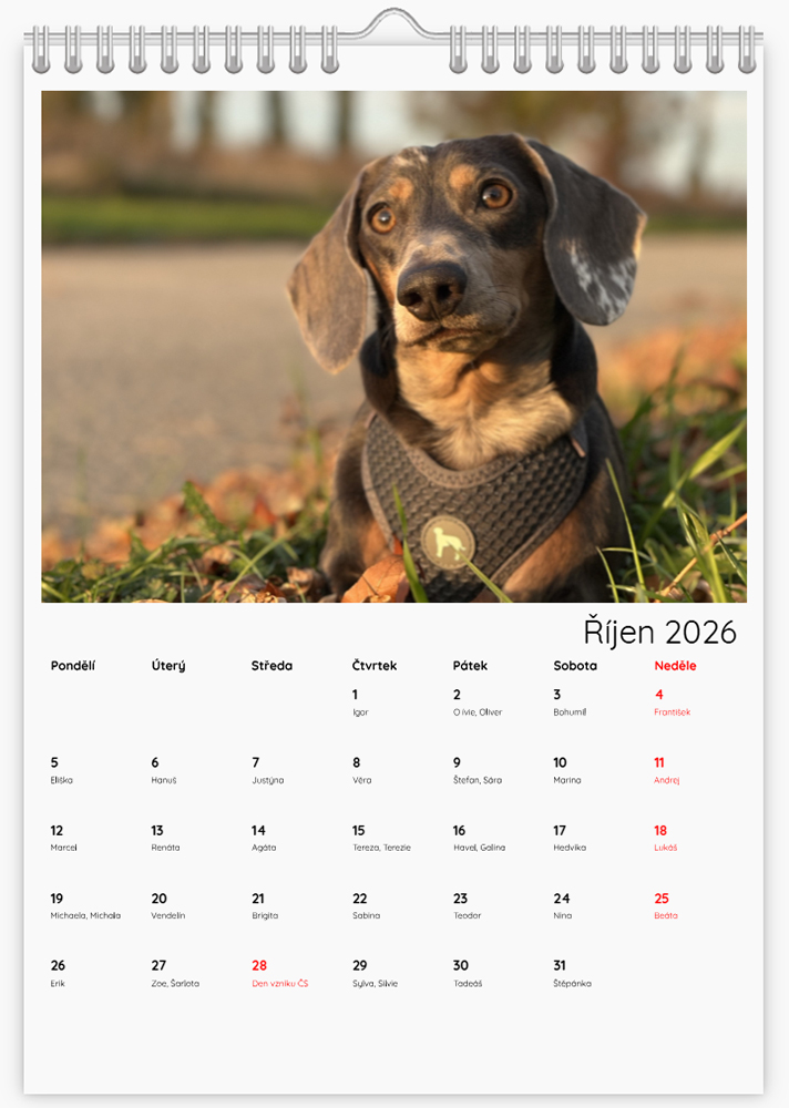 Nástěnné kalendáře - Šablona ID 4